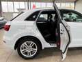 Audi Q3 2.0 TDI quattro Automatik*GARANTIE*3X S-LINE* Weiß - thumbnail 14