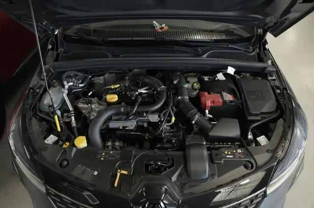 Renault Clio view 19