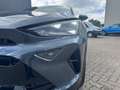 CUPRA Formentor 1.5 TSI Navi Virtual Pano LED PDC Grau - thumbnail 18