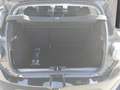 Dacia Sandero Stepway Expression TCe 110 Schwarz - thumbnail 11