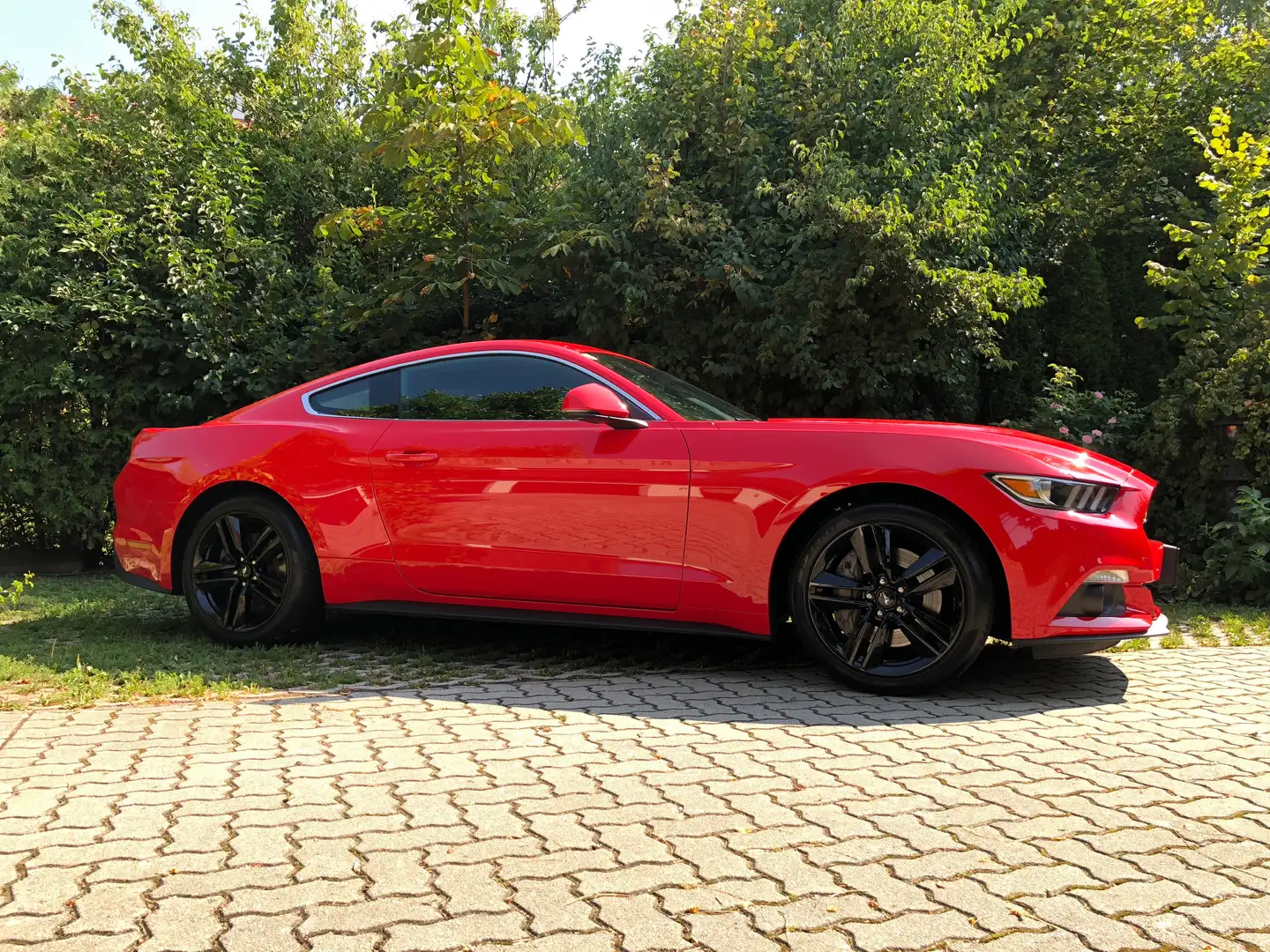 Ford Mustang 2,3 EcoBoost Aut. Rot - 2