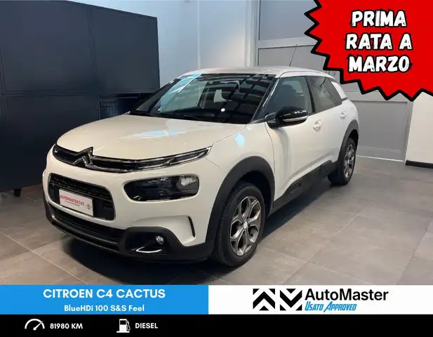 Citroen C4 Cactus BlueHDi 100 S&S Feel - NEOPATENTATI