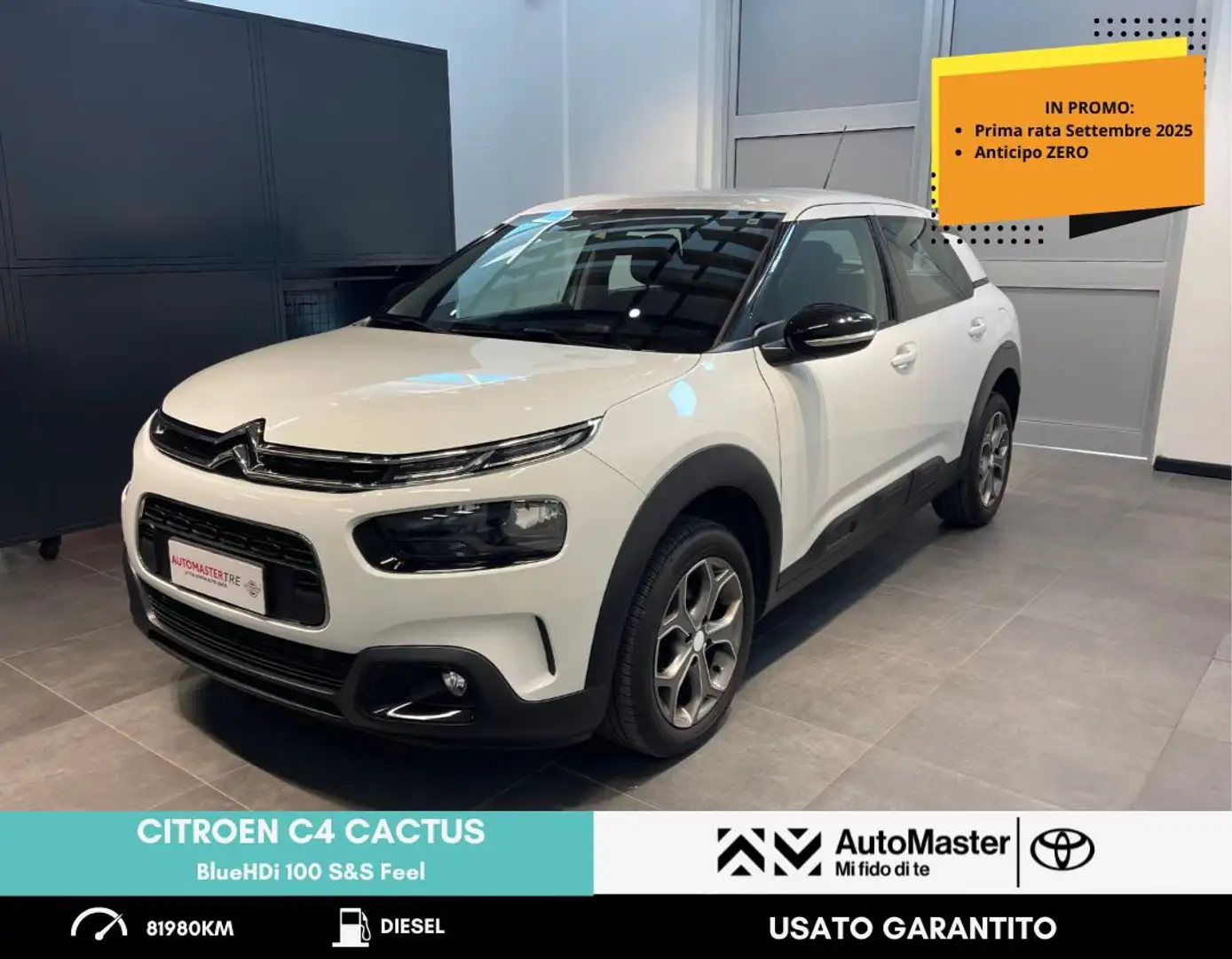 Citroen C4 Cactus BlueHDi 100 S&S Feel Bianco - 1