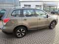 Subaru Forester 2.0X Exclusive+AZV+WR Braun - thumbnail 6