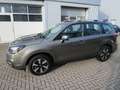 Subaru Forester 2.0X Exclusive+AZV+WR Braun - thumbnail 2