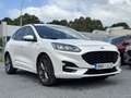 Ford Kuga 2.5 Duratec FHEV ST-Line 4x2 Aut. Weiß - thumbnail 11