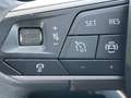 SEAT Tarraco 2.0 TDI 110kW (150CV) S&S Style GO DSG Gris - thumbnail 26