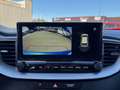 Kia Ceed / cee'd 1.5 T-GDI 160CH ACTIVE DCT7 Bleu - thumbnail 18
