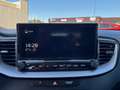 Kia Ceed / cee'd 1.5 T-GDI 160CH ACTIVE DCT7 Bleu - thumbnail 14