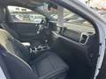 Kia Sportage 1.7CRDi VGT Eco-D. Drive DCT 4x2 141 Blanco - thumbnail 20