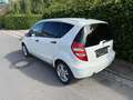 Mercedes-Benz A 160 A 160 CDI (169.006) Weiß - thumbnail 3