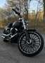 Harley-Davidson Softail Harley Davidson FXSB SOFTAIL BREAKOUT® von 2017 Grau - thumbnail 5