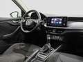 Skoda Kamiq 1.0 tsi ambition 110cv Bianco - thumbnail 7