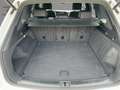 Volkswagen Touareg 3.0 V6 TDI DSG 4M R-Line ACC AHK Navi LE Blanc - thumbnail 7