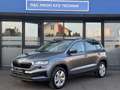 Skoda Karoq 2,0 TDI Selection DSG/3J. Werksgarantie Grau - thumbnail 6