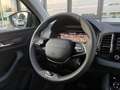 Skoda Karoq 2,0 TDI Selection DSG/3J. Werksgarantie Grau - thumbnail 34