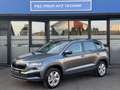 Skoda Karoq 2,0 TDI Selection DSG/3J. Werksgarantie Grau - thumbnail 5