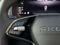 Skoda Karoq 2,0 TDI Selection DSG/3J. Werksgarantie Grau - thumbnail 23