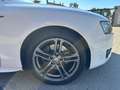 Audi A5 Coupe 3.0 V6 TDI Ambition QUATTRO TETTO UNIPRO Bianco - thumbnail 8