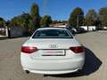 Audi A5 Coupe 3.0 V6 TDI Ambition QUATTRO TETTO UNIPRO Bianco - thumbnail 4