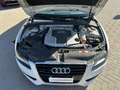 Audi A5 Coupe 3.0 V6 TDI Ambition QUATTRO TETTO UNIPRO Bianco - thumbnail 18