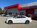 Audi A5 Coupe 3.0 V6 TDI Ambition QUATTRO TETTO UNIPRO Bianco - thumbnail 2