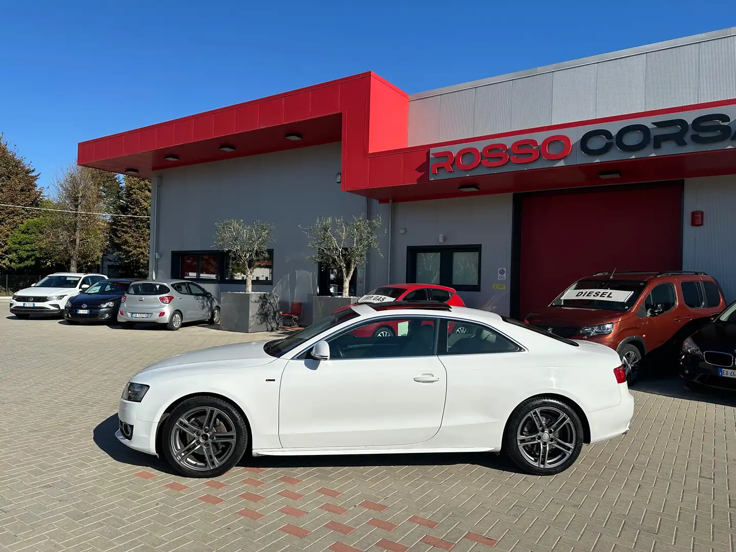 Audi A5 Coupe 3.0 V6 TDI Ambition QUATTRO TETTO UNIPRO Bianco - 2