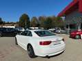Audi A5 Coupe 3.0 V6 TDI Ambition QUATTRO TETTO UNIPRO Bianco - thumbnail 3