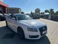 Audi A5 Coupe 3.0 V6 TDI Ambition QUATTRO TETTO UNIPRO Bianco - thumbnail 6