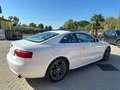 Audi A5 Coupe 3.0 V6 TDI Ambition QUATTRO TETTO UNIPRO Bianco - thumbnail 5
