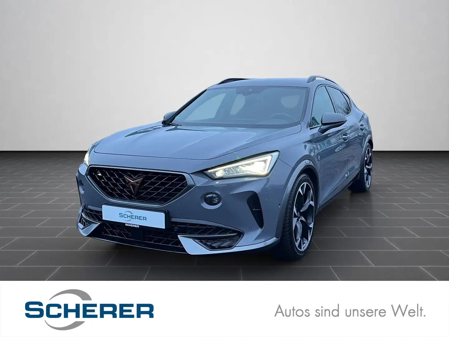 CUPRA Formentor VZ ABT 2.0 TSI DSG 4x4 BREMBO AHK BEAT Grau - 1