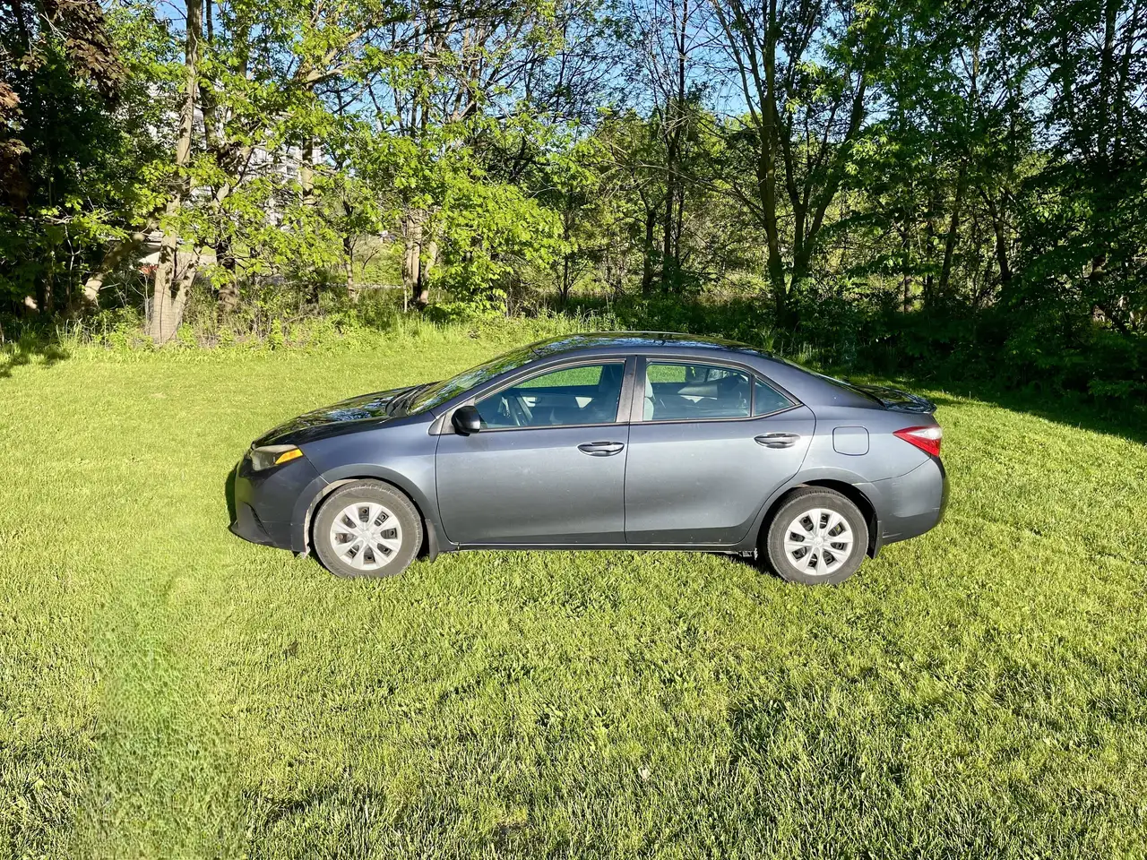Toyota Corolla photo Toyota Corolla