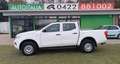 Nissan Navara III 2.3 dci d.cab Visia 4wd 163cv my19-più IVA Blanc - thumbnail 1