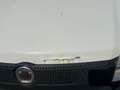 Fiat Panda 1.2 GPL Van 2 posti - ANCHE PER NEOPATENTATI Bianco - thumbnail 17