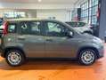 Fiat Panda 1.0 firefly hybrid *PREZZO REALE NO VINCOLI* Grigio - thumbnail 4