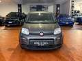 Fiat Panda 1.0 firefly hybrid *PREZZO REALE NO VINCOLI* Grigio - thumbnail 2