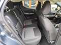 Nissan Micra Micra IG-T 92 5 porte Acenta Bleu - thumbnail 14