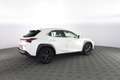 Lexus UX 250h UX Hybrid Urban Bianco - thumbnail 3