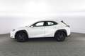 Lexus UX 250h UX Hybrid Urban Bianco - thumbnail 6