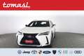 Lexus UX 250h UX Hybrid Urban Bianco - thumbnail 1