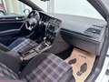 Volkswagen Golf GTI Golf 2.0 TSI Performance DSG Blanc - thumbnail 12