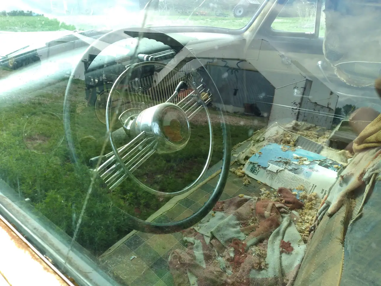 Buick Special снимка Buick Special