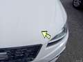 SEAT Ibiza 1.0 TSI 81kW (110CV) Style Go2 - thumbnail 11