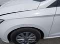 SEAT Ibiza 1.0 TSI 81kW (110CV) Style Go2 - thumbnail 28