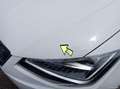 SEAT Ibiza 1.0 TSI 81kW (110CV) Style Go2 - thumbnail 12