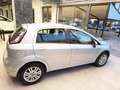 Fiat Punto 1.2 8V 5 porte Young Grigio - thumbnail 4