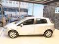 Fiat Punto 1.2 8V 5 porte Young Grigio - thumbnail 8