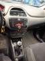 Fiat Punto 1.2 8V 5 porte Young Grigio - thumbnail 13