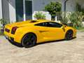 Lamborghini Gallardo E-Gear žuta - thumbnail 7
