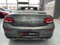Mercedes-Benz C 220 Cabrio 220d 9G-Tronic Gris - thumbnail 14